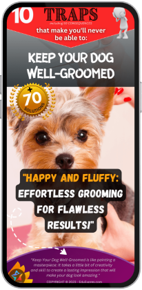 Keep Your Dog Well-groomed
